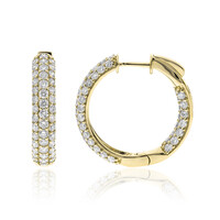 I1 (H) Brillant-Goldohrringe (CIRARI)
