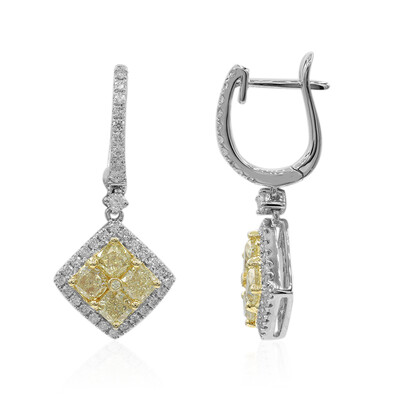 Gelber SI2 Brillant-Goldohrringe (CIRARI)