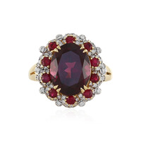 AAA-Umbalit-Goldring (D'vyere)