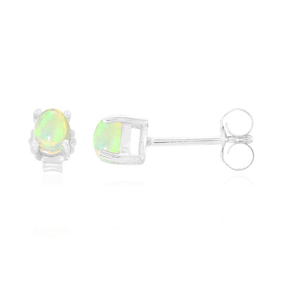 AAA-Welo-Opal-Silberohrringe