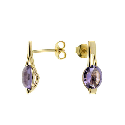 Amethyst-Goldohrringe (dagen)