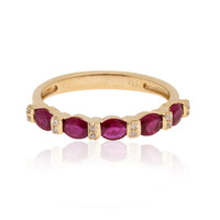 AAA-Mosambik-Rubin-Goldring (CIRARI)