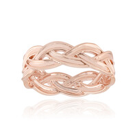 Silberring