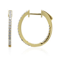 I1 (H) Brillant-Goldohrringe (CIRARI)