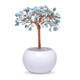 Larimar-Baum