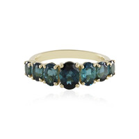 Indigolith-Goldring (de Melo)
