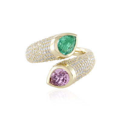 Edelstein-Goldring (de Melo)
