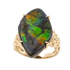 Ammolith-Goldring (de Melo)