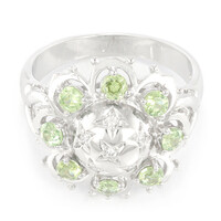 Namibia-Demantoid-Silberring