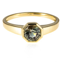 Oregon-Sonnenstein-Goldring (AMAYANI)