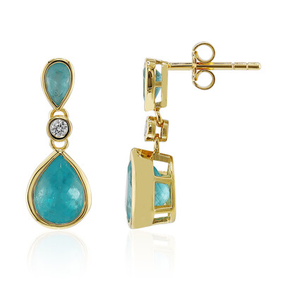 Paraiba-Apatit-Goldohrringe (Adela Gold)