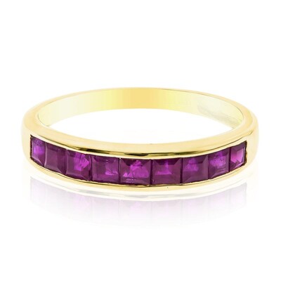 AAA-Mosambik-Rubin-Goldring (CIRARI)