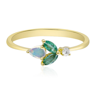Edelstein-Goldring (CIRARI)