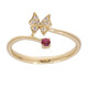 AAA-Mosambik-Rubin-Goldring (CIRARI)