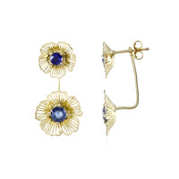 Blauer Madagaskar-Saphir-Goldohrringe (Ornaments by de Melo)