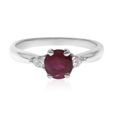 Mosambik-Rubin-Goldring (CIRARI)