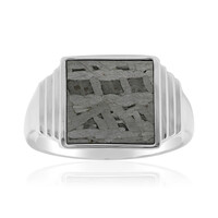 Aletai-Meteorit-Silberring