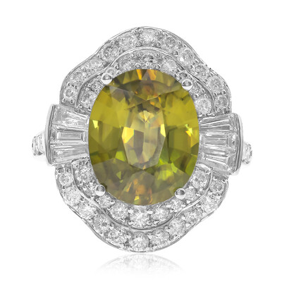 Sphen-Goldring (CIRARI)