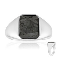 Aletai-Meteorit-Silberring