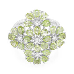 Paraiba-Turmalin-Silberring