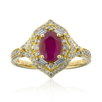 Mosambik-Rubin-Goldring (CIRARI)