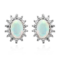 Welo-Opal-Silberohrringe