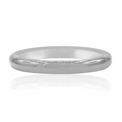 Silberring