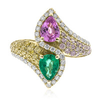 Edelstein-Goldring (CIRARI)
