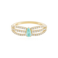 Brasilianischer Paraiba-Turmalin-Goldring (AMAYANI)