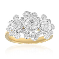 VS2 (H) Brillant-Goldring (CIRARI)