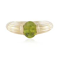 Sphen-Goldring (de Melo)