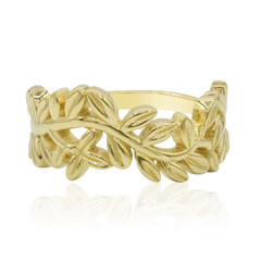 Silberring