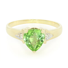 Paraiba-Turmalin-Goldring