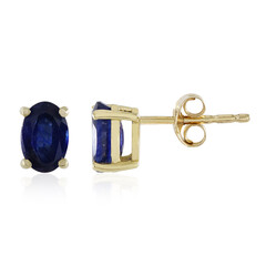 Blauer Madagaskar-Saphir-Goldohrringe