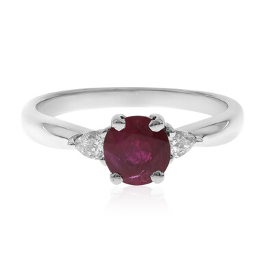 Mosambik-Rubin-Goldring (CIRARI)