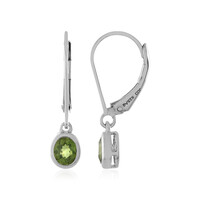 Russischer Demantoid-Silberohrringe