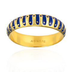 Silberring