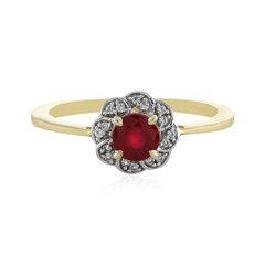 Rubin-Goldring (Adela Gold)
