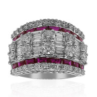 AAA-Mosambik-Rubin-Goldring (CIRARI)