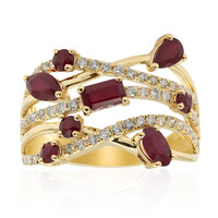AAA-Mosambik-Rubin-Goldring (CIRARI)