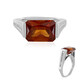 Hessonit-Granat-Goldring (de Melo)