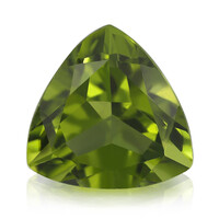 Kaschmir-Peridot-Edelstein 6,01 ct in Sammler-Box