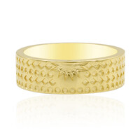 Silberring