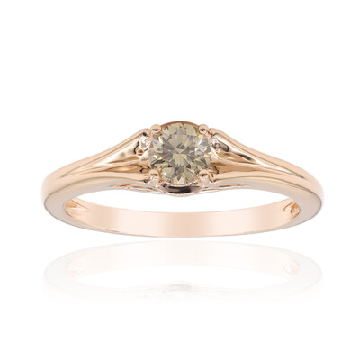 VS1 Argyle-Rose de France-Brillant-Goldring (Annette)