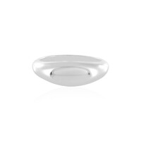 Silberring