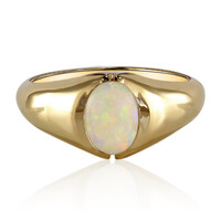 Coober Pedy-Opal-Goldring (Mark Tremonti)