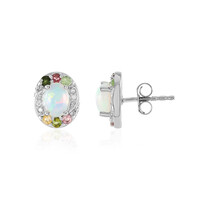 Welo-Opal-Silberohrringe
