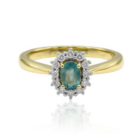 Grandidierit-Goldring (AMAYANI)