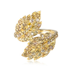 SI2 Fancy-Brillant-Goldring (CIRARI)