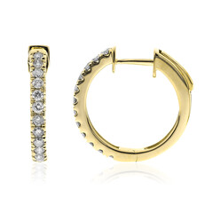 I1 (H) Brillant-Goldohrringe (CIRARI)